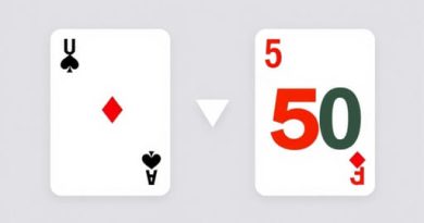 Difference Between Euchre and 500