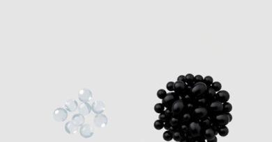 Difference Between Roe and Caviar