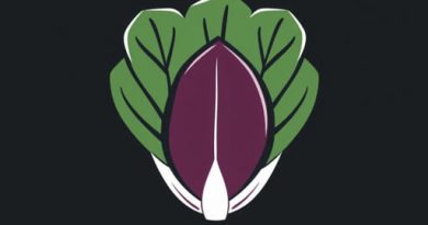 does radicchio taste like cabbage