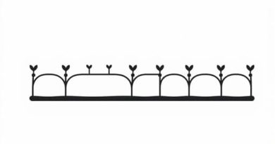 Drip Irrigation Model Explanation