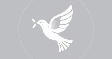 Examples of Peacekeeping Missions