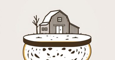 farmhouse on boone sandwich bread