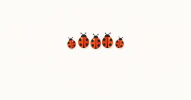five little ladybugs karyn henley