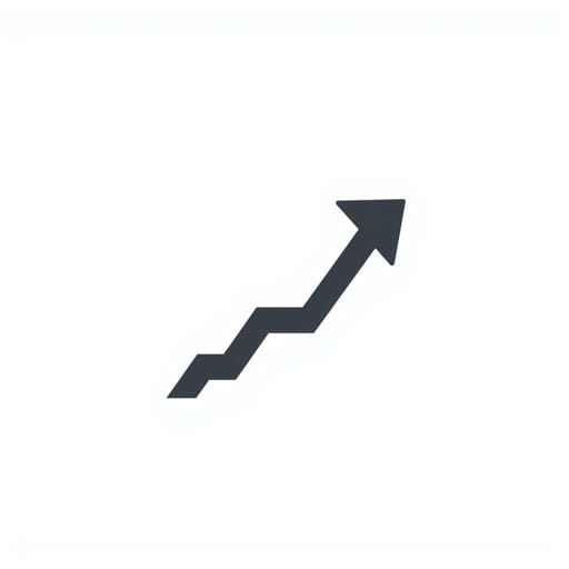 Going Concern Basis of Accounting