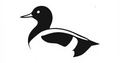 Information About Eurasian Wigeon