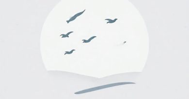 Information About Migratory Birds