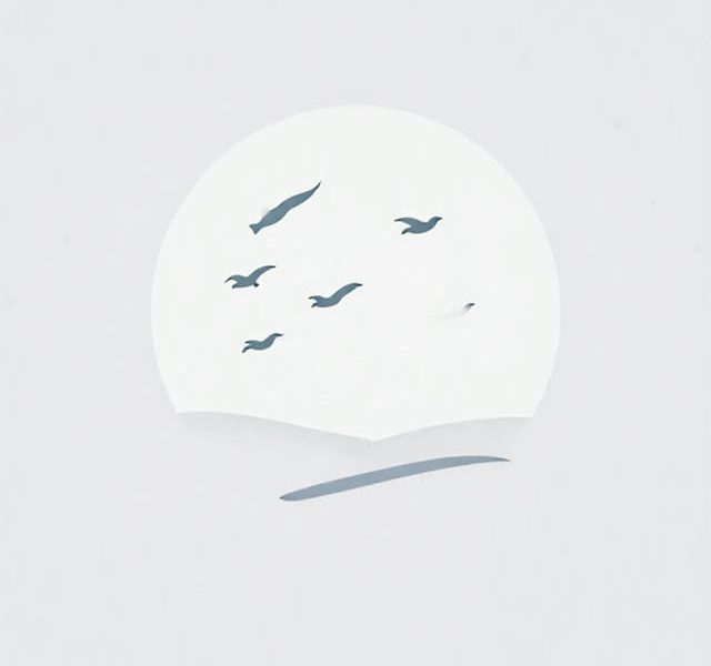 Information About Migratory Birds