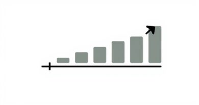 Introduction of Budgetary Control
