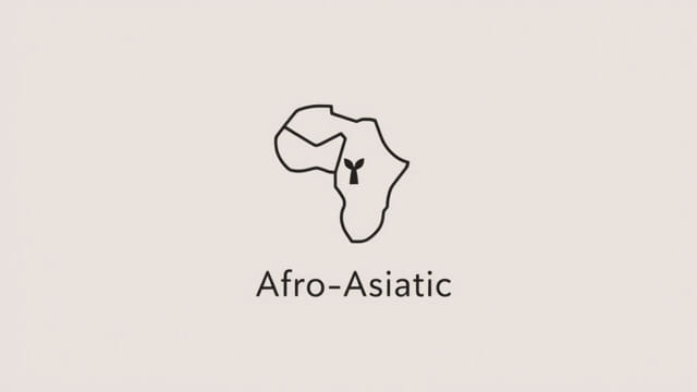 Is Afro Asiatic a Language Family