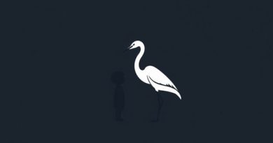 Meaning of The Boy and the Heron