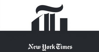 NYT Classify Into Separate Groups