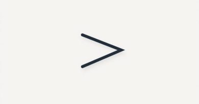 What Does Virgule Mean in French?