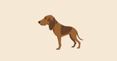 what is the meaning of bloodhound