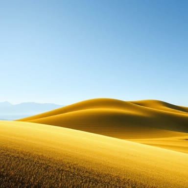 Fonction De La Virgule