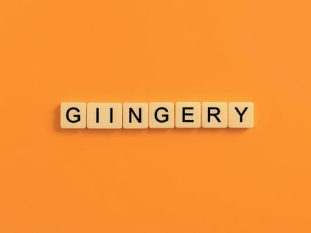 Is Gingery A Scrabble Word
