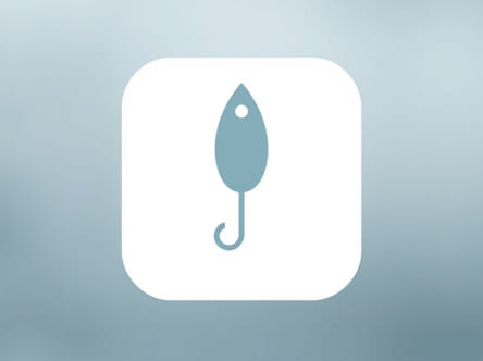 Lure Color For Overcast