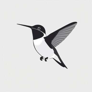 Photos Of Black-Chinned Hummingbird