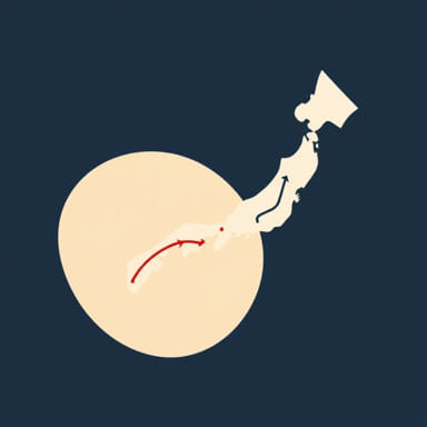 Picture Of Pt Transpacific Finance