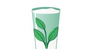 Plant Milk That Froths