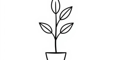 Plant Used In Wickerwork Crossword