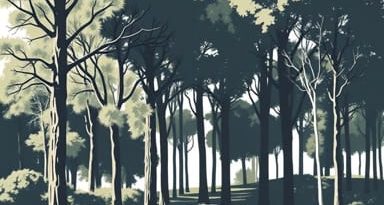 Plaza El Bosque Ebro