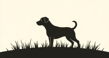 Prairie Moraine Dog Park