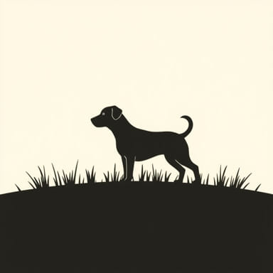 Prairie Moraine Dog Park