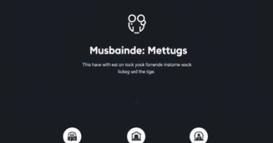 Project One Pager Template