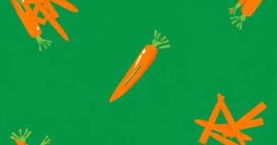 Quick Pickled Shredded Carrots