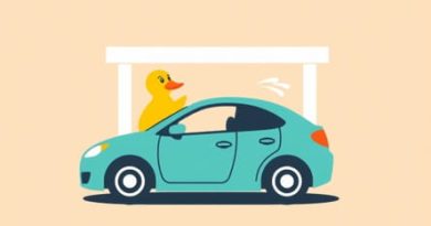 Quick Quack Car Wash Brigham