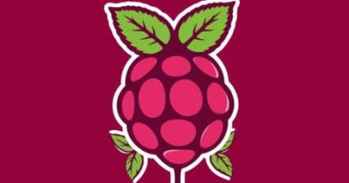 Raspberry Hippie Crippler Strain