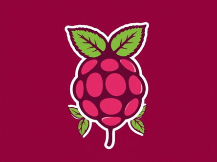 Raspberry Hippie Crippler Strain