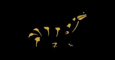 Rdr2 Black Tailed Rattlesnake