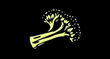 Recipe For Charred Broccoli