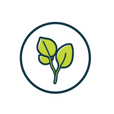 Signs Of Good Quality Honeydew