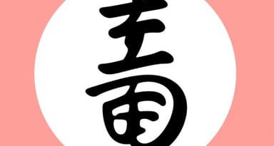 Symbol Of Auspiciousness And Good Fortune