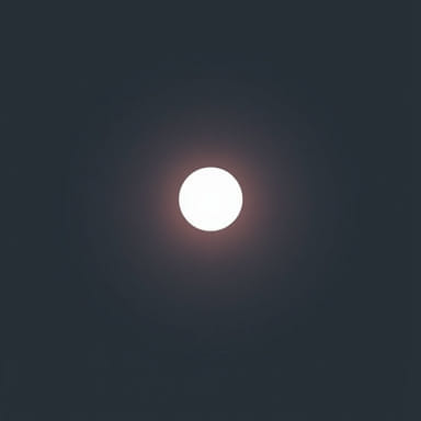 The Definition Of Dimness