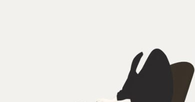 The Late Bloomer Clarissa Pinkola Estes