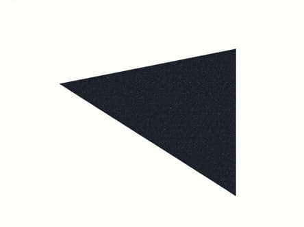 The Modigliani Miller Theorem