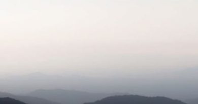 What Is To Disparage