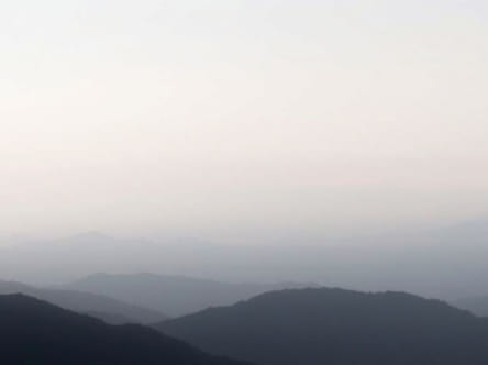 What Is To Disparage