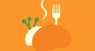 What Is Turkey Fricassee