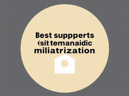 Which Statement Best Supports Militarization Quizlet