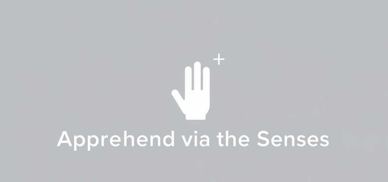 Apprehend Via The Senses Crossword Clue