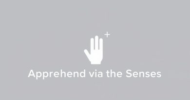 Apprehend Via The Senses Crossword Clue