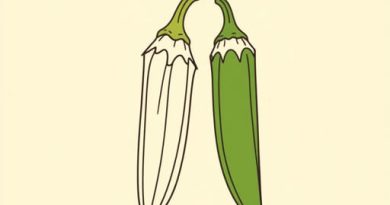 Are Ladyfinger And Okra The Same Thing