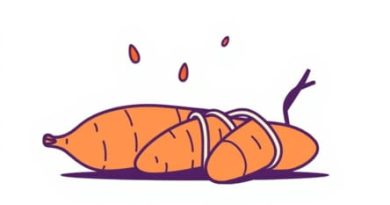 Are Sweet Potatoes Stringy