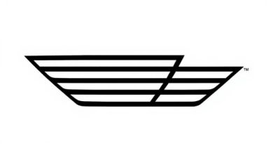 Brazenness Meaning In English