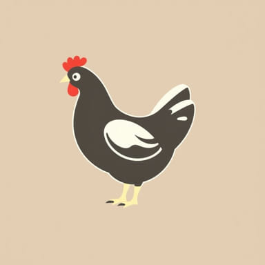 Buy Fertile Chicken Eggs