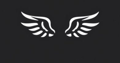 Cheapo Wings Inc Reviews